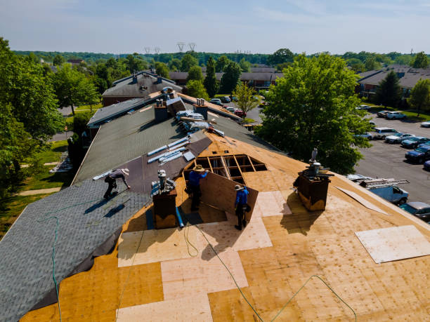 Best Flat Roof Repair Services  in Rapids, NY